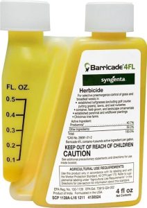 Read more about the article 3.4 fl oz mit jelent
