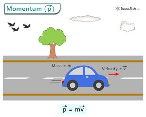 Read more about the article Mit Jelent a Momentum?