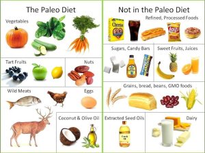 Read more about the article Minden, amit tudni akartál a „paleo” szóról