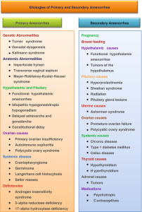 Read more about the article Amenorrhoea: Mi az és mi okozza?