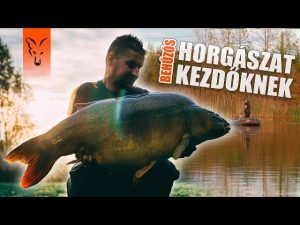 Read more about the article Minden, amit tudni kell a behúzós horgászatról