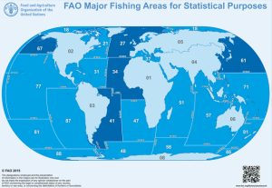 Read more about the article Minden, amit tudni akartál a FAO számról