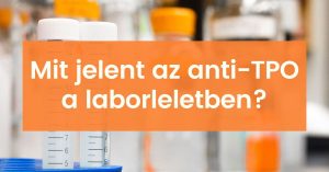 Read more about the article Magas Anti TPO: Mi Is Pont Az és Miért Fontos Figyelni Rá?