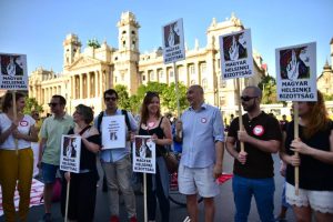 Read more about the article Mi az NGO és miért fontos?