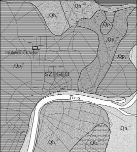 Read more about the article Minden, amit tudnia kell az FT3 magas szintjéről