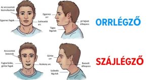 Read more about the article Minden, amit tudnod kell a sejtes légzésről
