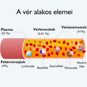 Read more about the article Mit jelent az MPV a vérképben?
