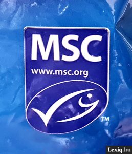 Read more about the article Mit jelent az MSC?
