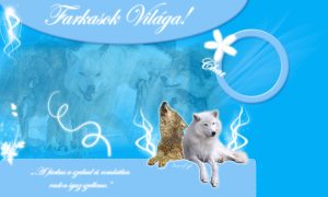 Read more about the article Mit jelent, ha farkassal álmodsz?