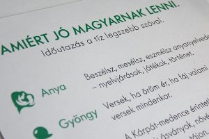 Read more about the article Mit jelent számomra magyarnak lenni