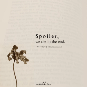 Read more about the article Mit Jelent a „Spoiler”?