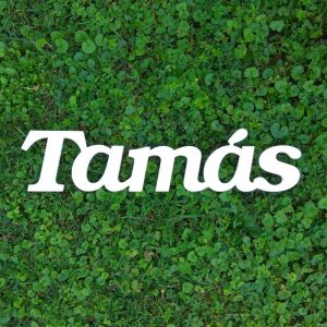 Read more about the article Minden, amit tudni kell a Tamás névről