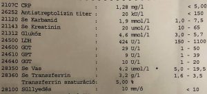 Read more about the article Transzferrin: Mi is ez valójában?