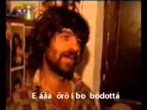 Read more about the article Mi az a bódottá?