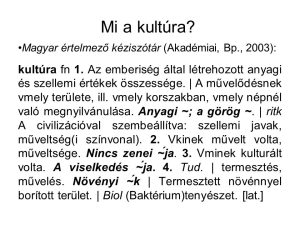Read more about the article Mi Is Valójában a Kultúra?