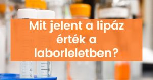 Read more about the article Minden, amit tudnod kell a lipázról