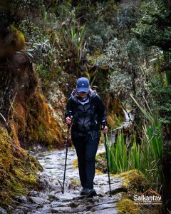 Read more about the article Mindent, amit a trekkingről tudni kell