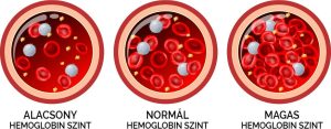 Read more about the article Minden, amit tudni kell a hemoglobin alacsony szintjéről