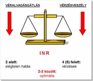 Read more about the article Miért Magas az INR Érték és Mit Jelent Ez?