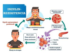 Read more about the article Inzulinrezisztencia: Mit Jelent és Hogyan Kezelhető?