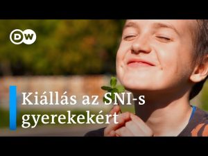 Read more about the article SNI – Mi is Valójában?