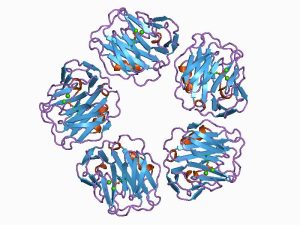 Read more about the article Hogyan értelmezzük a magas C-reaktív protein szintet?