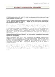 Read more about the article Vérzsír: Mindent, amit tudni kell erről a kifejezésről