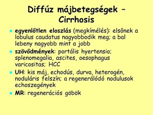 Read more about the article Minden, amit Tudni Akartál az Echodús Képletről