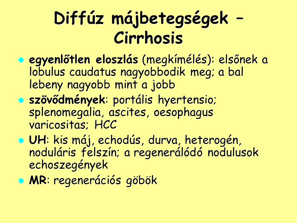 You are currently viewing Minden, amit Tudni Akartál az Echodús Képletről