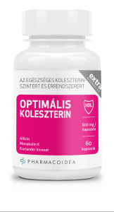 Read more about the article Minden, amit tudni kell a koleszterinről