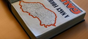 Read more about the article Minden, amit tudni kell a közepesen tág aortáról