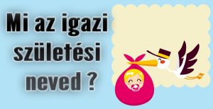 Read more about the article Mit Jelent a Neved Teszt?