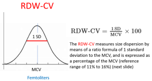 Read more about the article Minden, amit tudni kell az RDW CV-ről