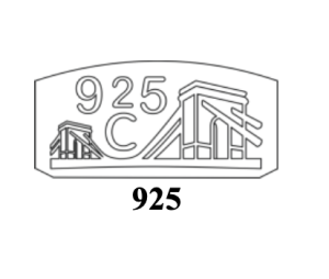 Read more about the article Minden, amit tudni kell az S925 jelzésről