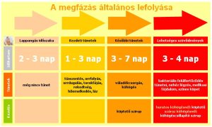 Read more about the article Minden, amit tudni kell a sárga takonyról