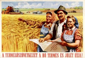 Read more about the article Minden, amit tudni akarsz a Naboth tüszőről