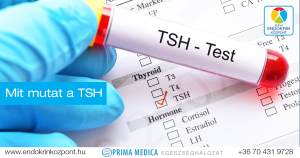 Read more about the article Minden, amit tudni kell a TSH-ról (tireotropin)